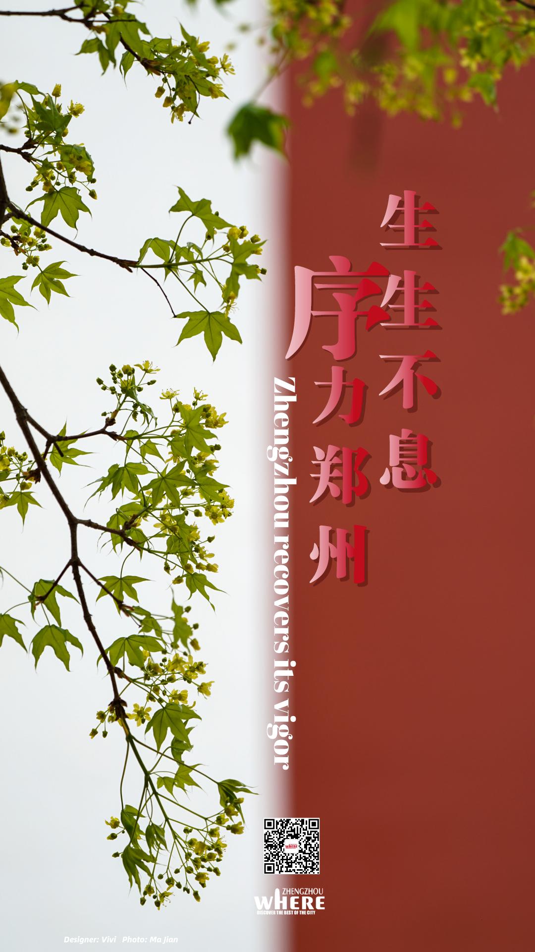 【双语】Zhengzhourecoversitsvigor“序”力郑州