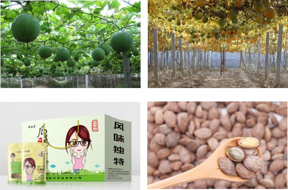 妇联巾帼助农,巾帼暖心助农