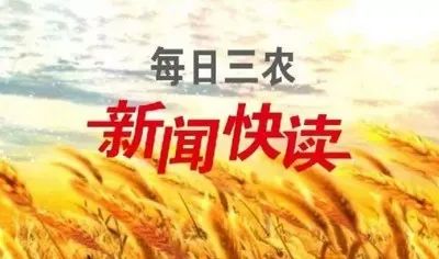 探“植物活化石”,看“白鸽”起舞,四川发布第三期花卉观赏指南
