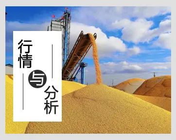 鸡蛋期货最新消息新闻,强化疫情防控促进复工复产