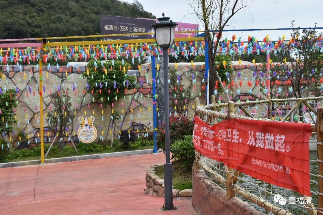 福清永鸿野生动物园要准备什么,夜游福清永鸿野生动物世界