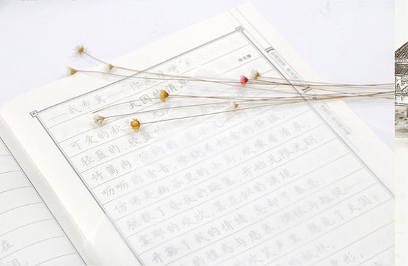 最美的见字如晤经典语录,见字如晤的美句