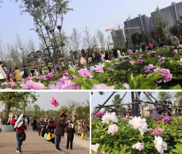 建业桂园公园,建业桂园院望洛阳