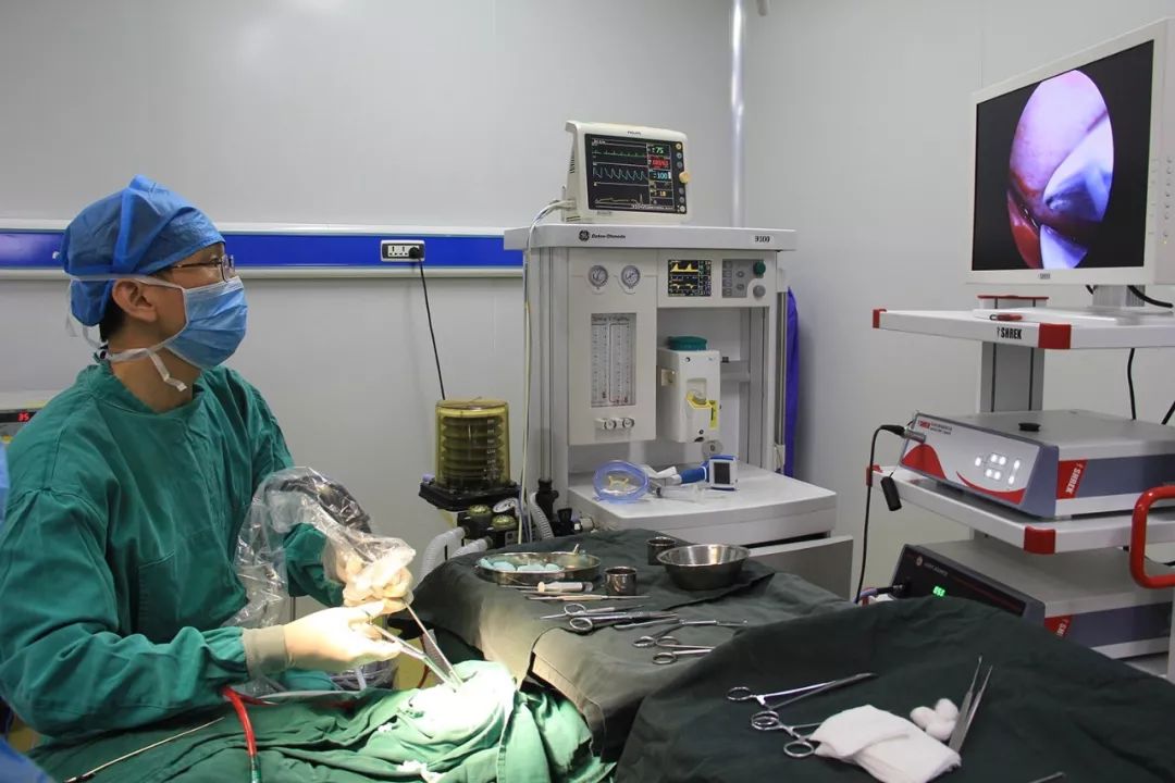 注意当前这几种病进入高发期,警惕这种病已到高发季