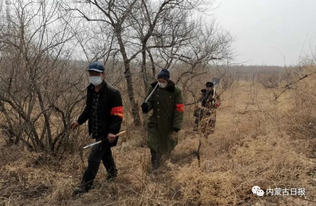 三大会战简介,三大会战方案