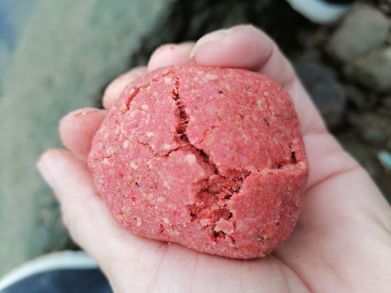 避免小杂鱼闹窝最好的办法,如何避免小杂鱼闹窝