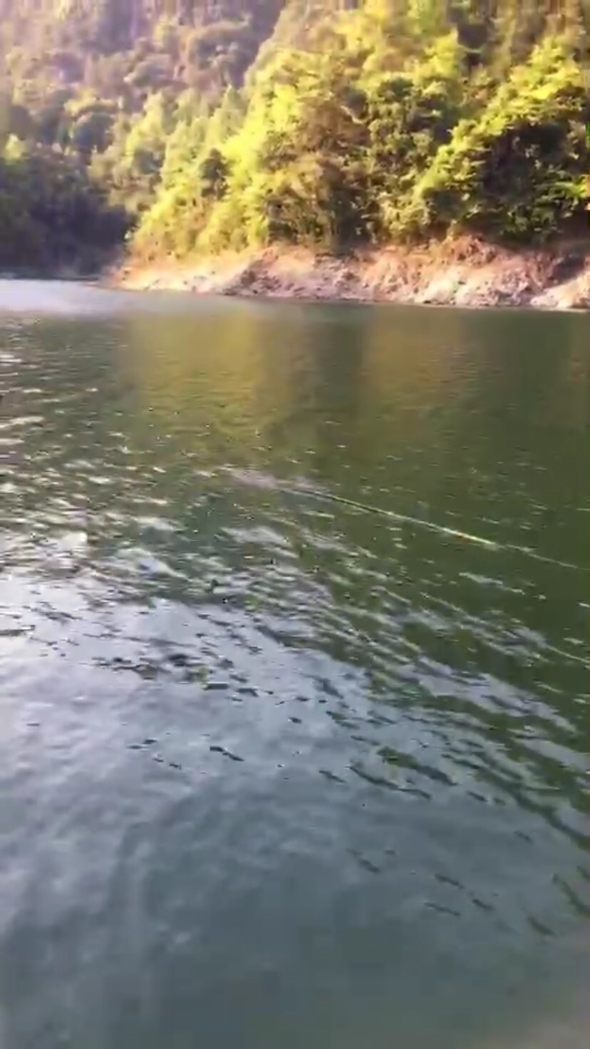 最美四月天正是踏青好时节,最美人间四月天正是出游好时节