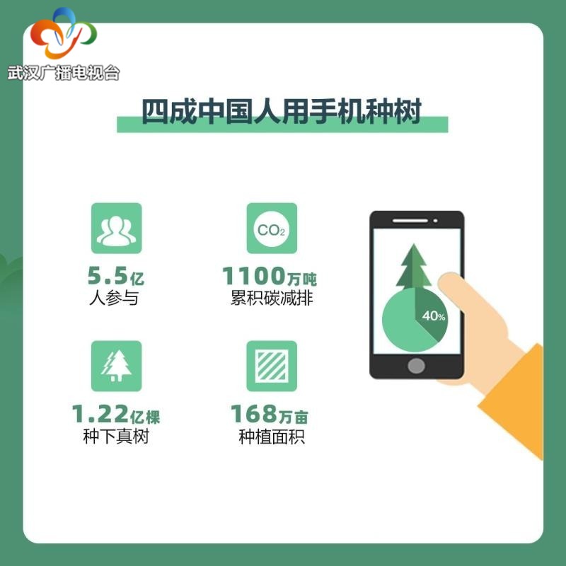 爱与武汉一起“解封”：“爱情树”见证结婚复婚升温