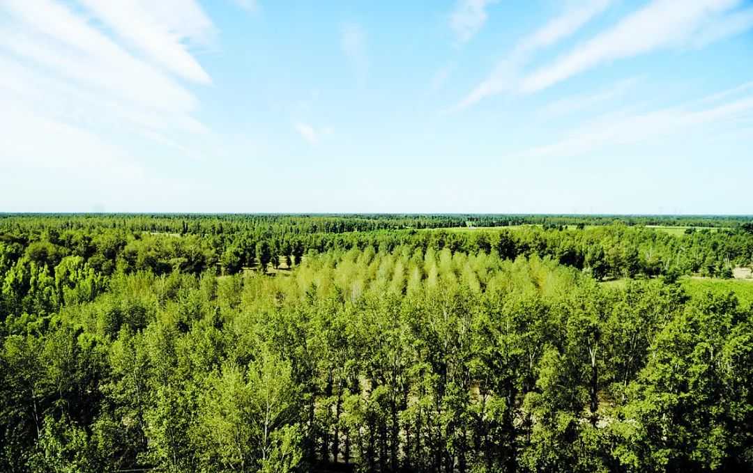 「*会两**·特刊」聚焦发展启新程春来奈曼沙变金