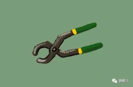 复习这些名解时总觉得怪饿的|协和八·脑洞大开