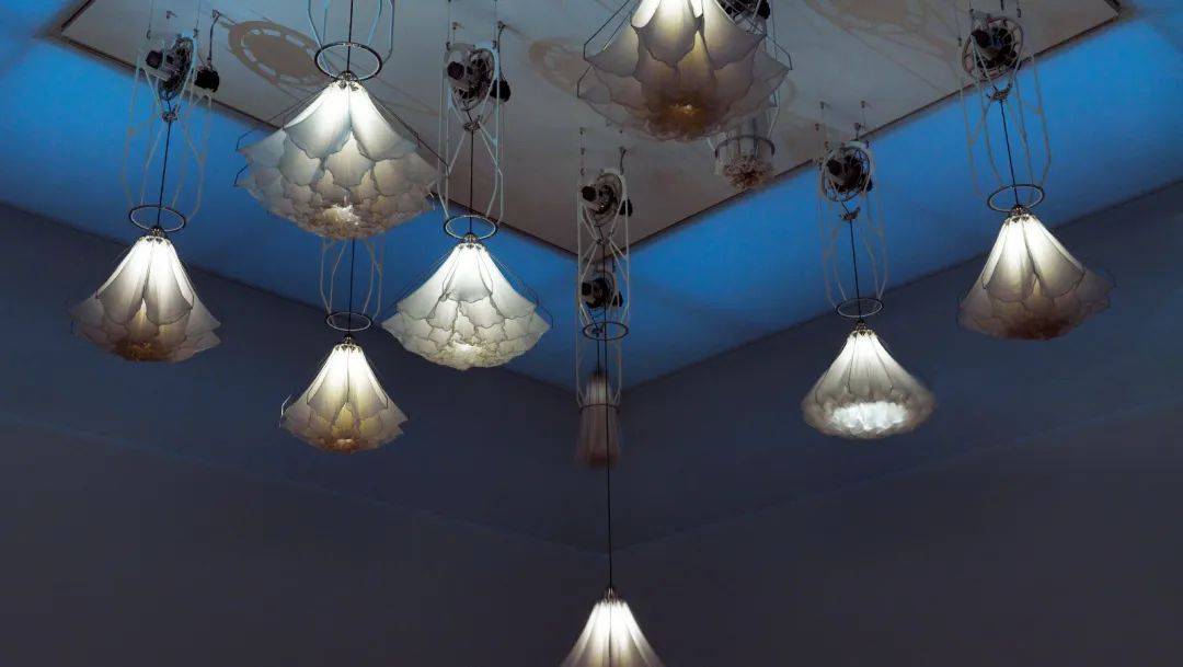 有设计感的艺术装置,现代艺术装置艺术作品