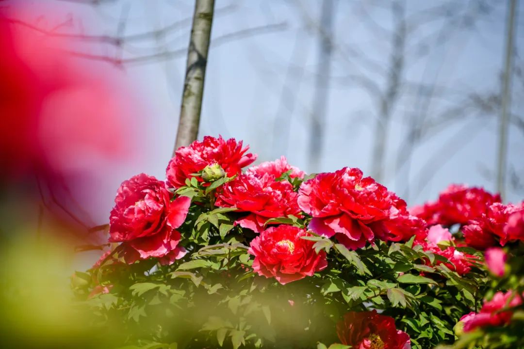 常州周末旅游景点推荐,常州最美乡村