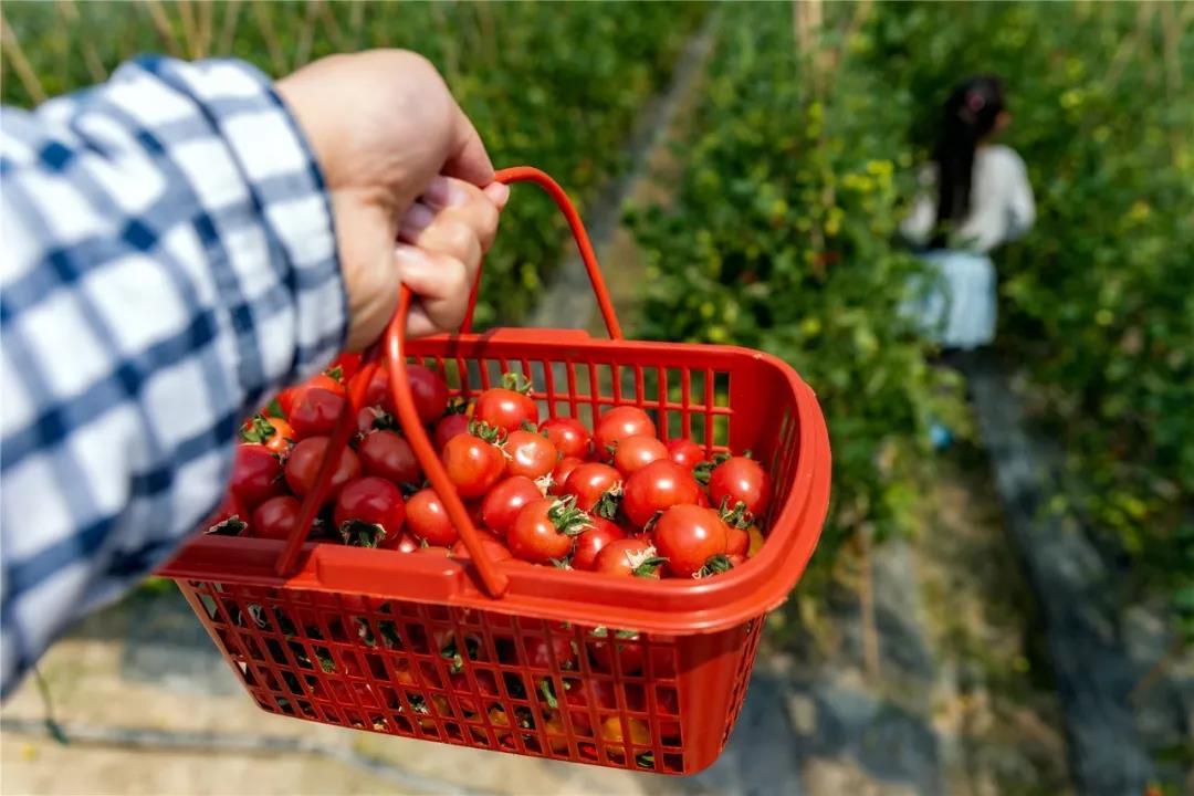 常州周末旅游景点推荐,常州最美乡村