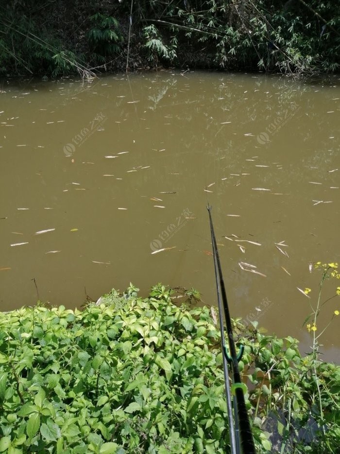 北方11-12月野钓策略,冬季野河野钓思路