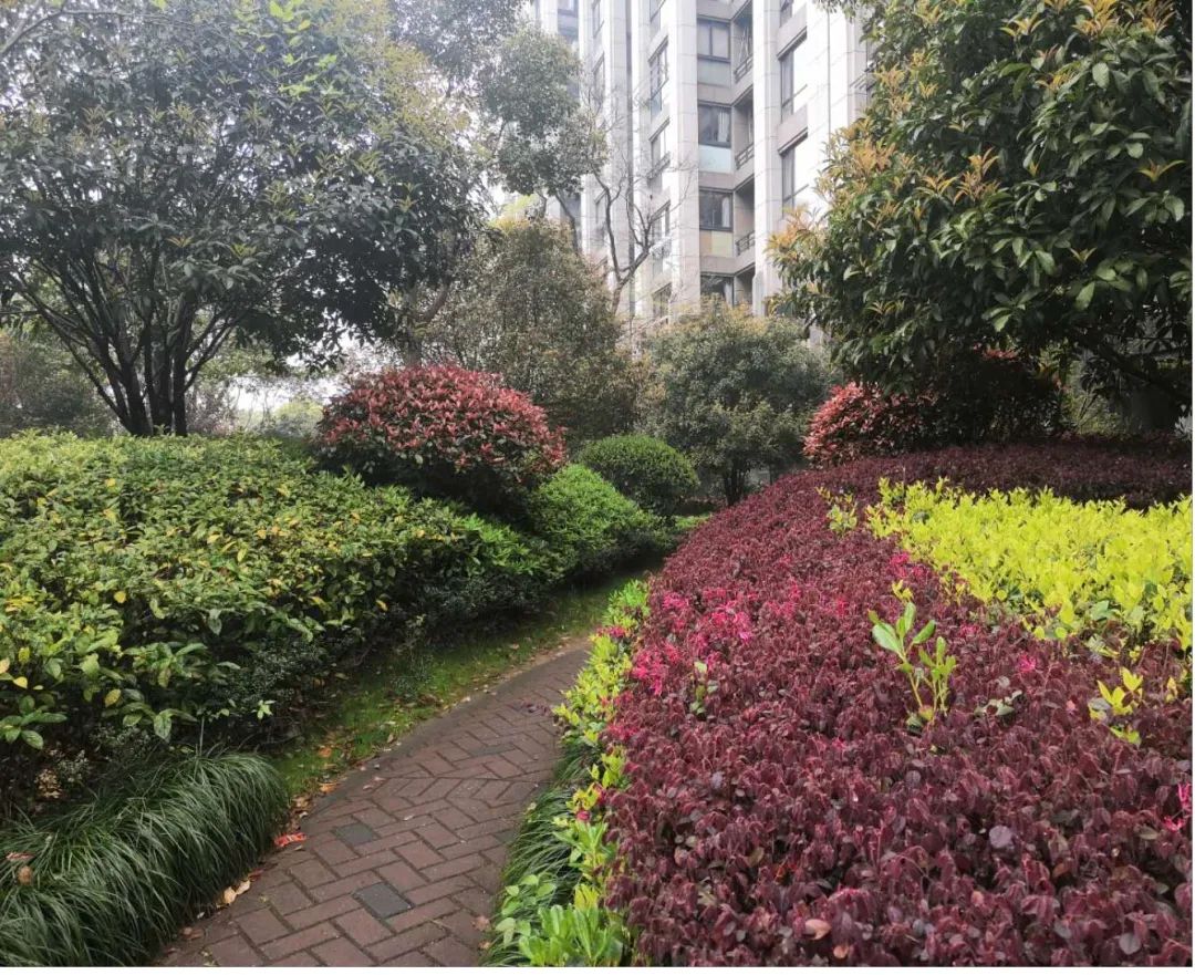 城市景观片区设计案例图,如何做出优秀的居住区景观设计