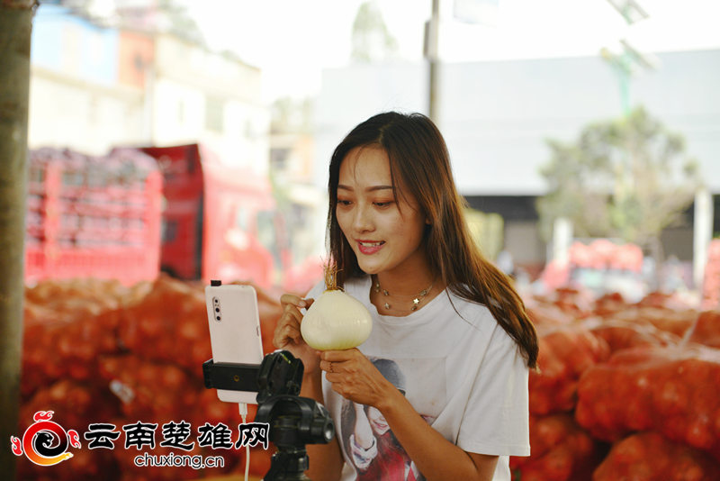 元谋洋葱卖多少钱一袋,元谋洋葱收购价格