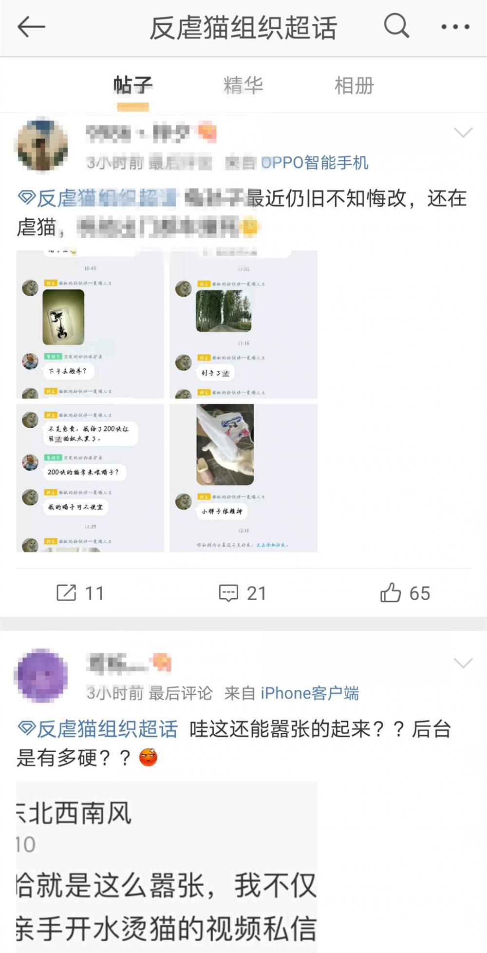 花生盾学院QQ群被封后“重出江湖”,还在直播发布虐猫