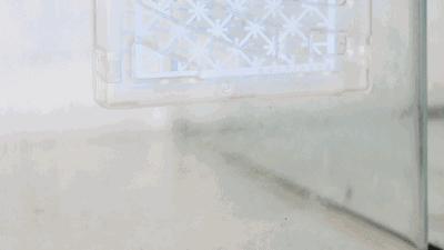 被疯抢的隐形蚊帐，随手一挂，蚊子全无