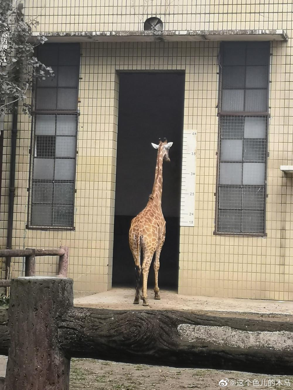 成都周边一日游免费景点推荐,成都温江十大景点免费