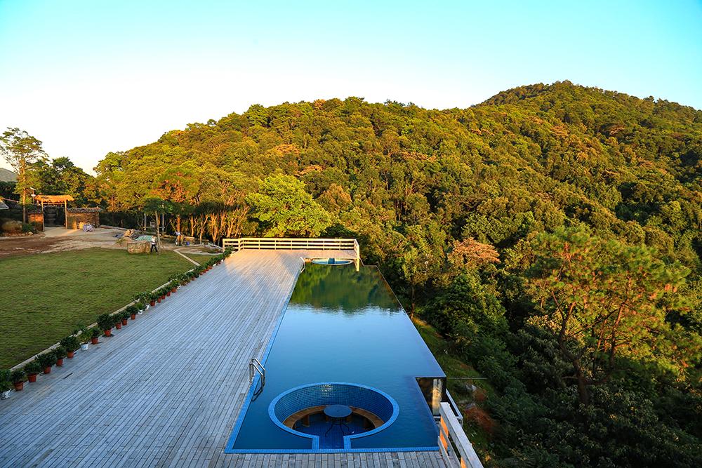 茶香禅韵入梦完整视频,世外桃源神仙度假地