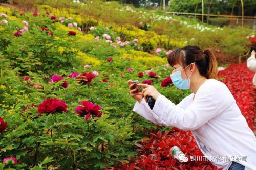 牡丹园雨天,雨天游牡丹园