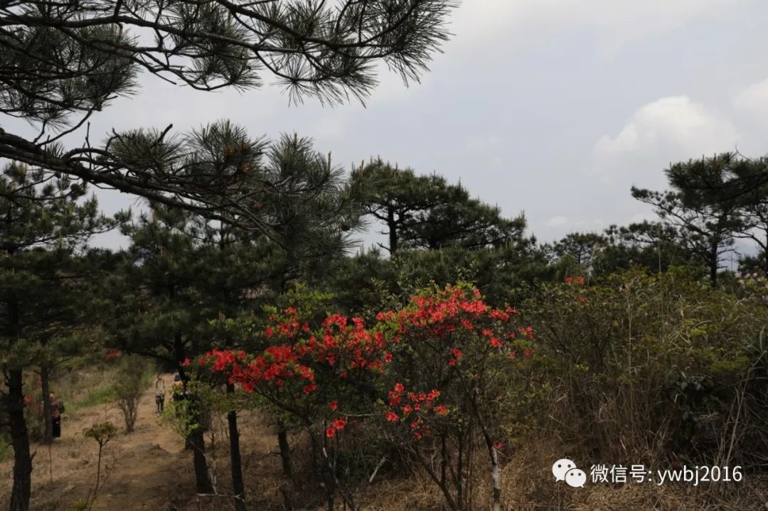 十八股头景点,十八股头简介