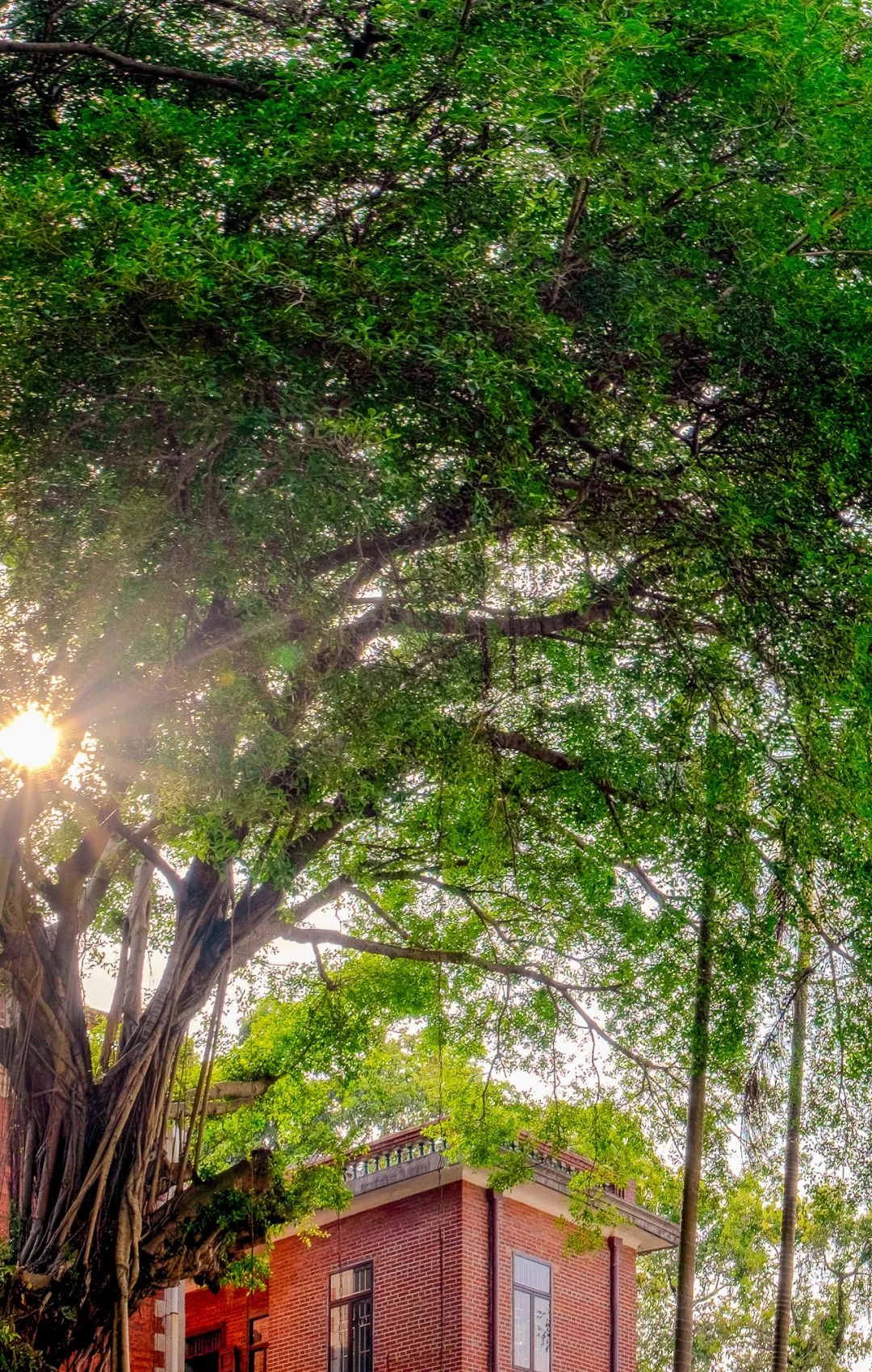 去厦门值得住鼓浪屿吗,鼓浪屿日光岩值得上去吗