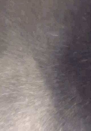 家里飞毛絮怎么去除,家里的小毛絮怎么处理