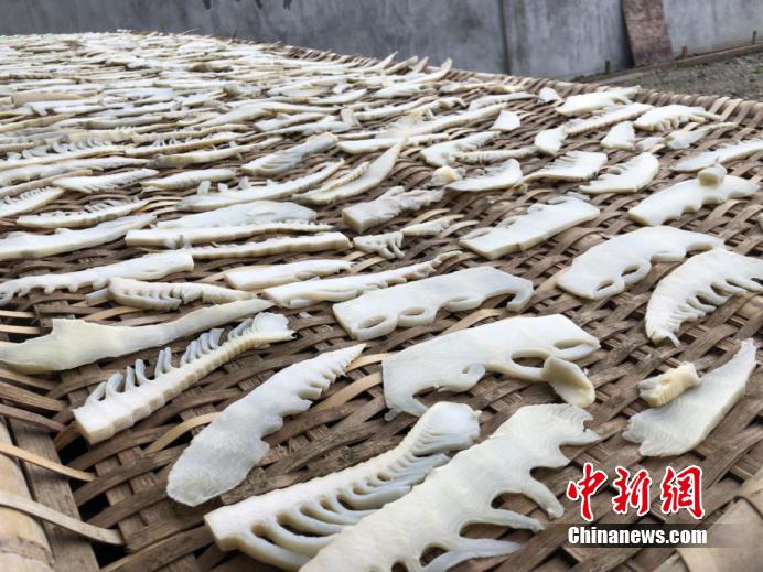 宁波人爱的爆款,宁波鲜鲜