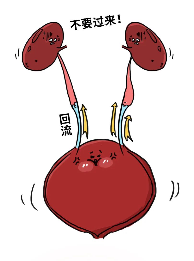 漫画科普：那些憋住的尿，最终都流向了哪里？