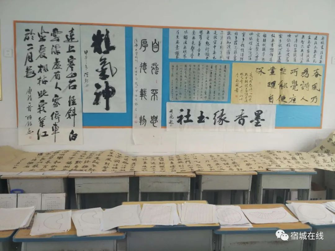 宿城有哪些学校,宿城区学校有哪些