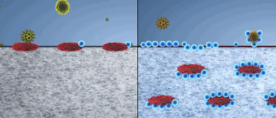 鼻炎太折磨人了怎么治呢,鼻炎折磨人吗