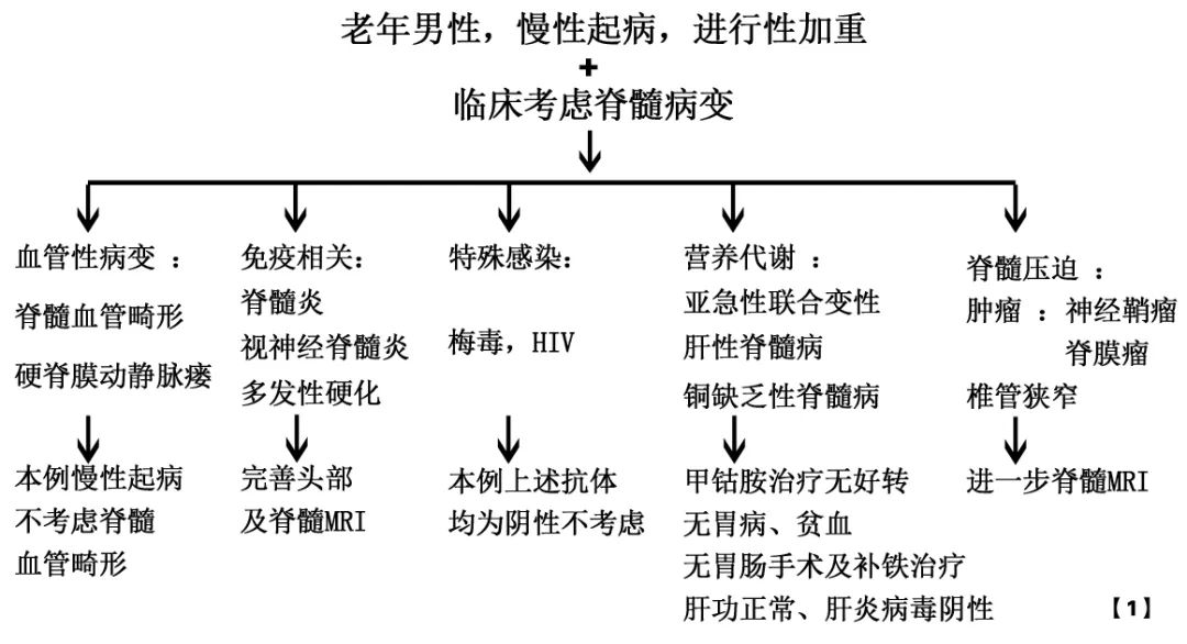 慧眼识传说:MRI的“白萝卜和黑芝麻”影像征丨病例探究