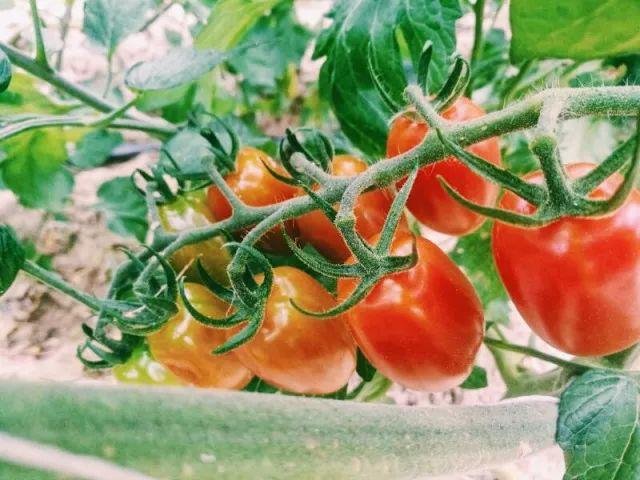 好吃到停不下来的套餐,好吃到停不下来的品牌