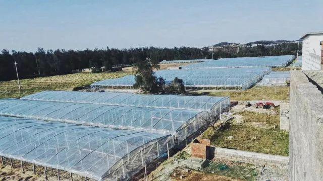 好吃到停不下来的套餐,好吃到停不下来的品牌