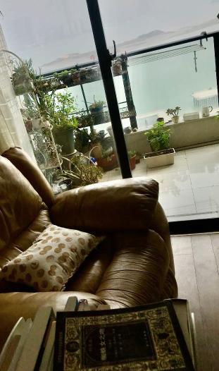 读家分享：有人绝不借书，有人将书视作包治百病的药…