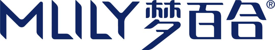 酒店企业复兴计划,酒店未来五年的发展战略方案