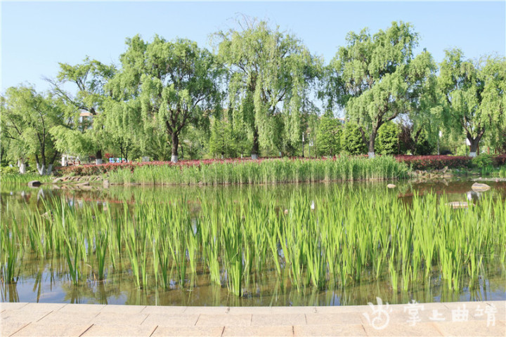 马龙大美水景公园图片,马龙水景公园游乐