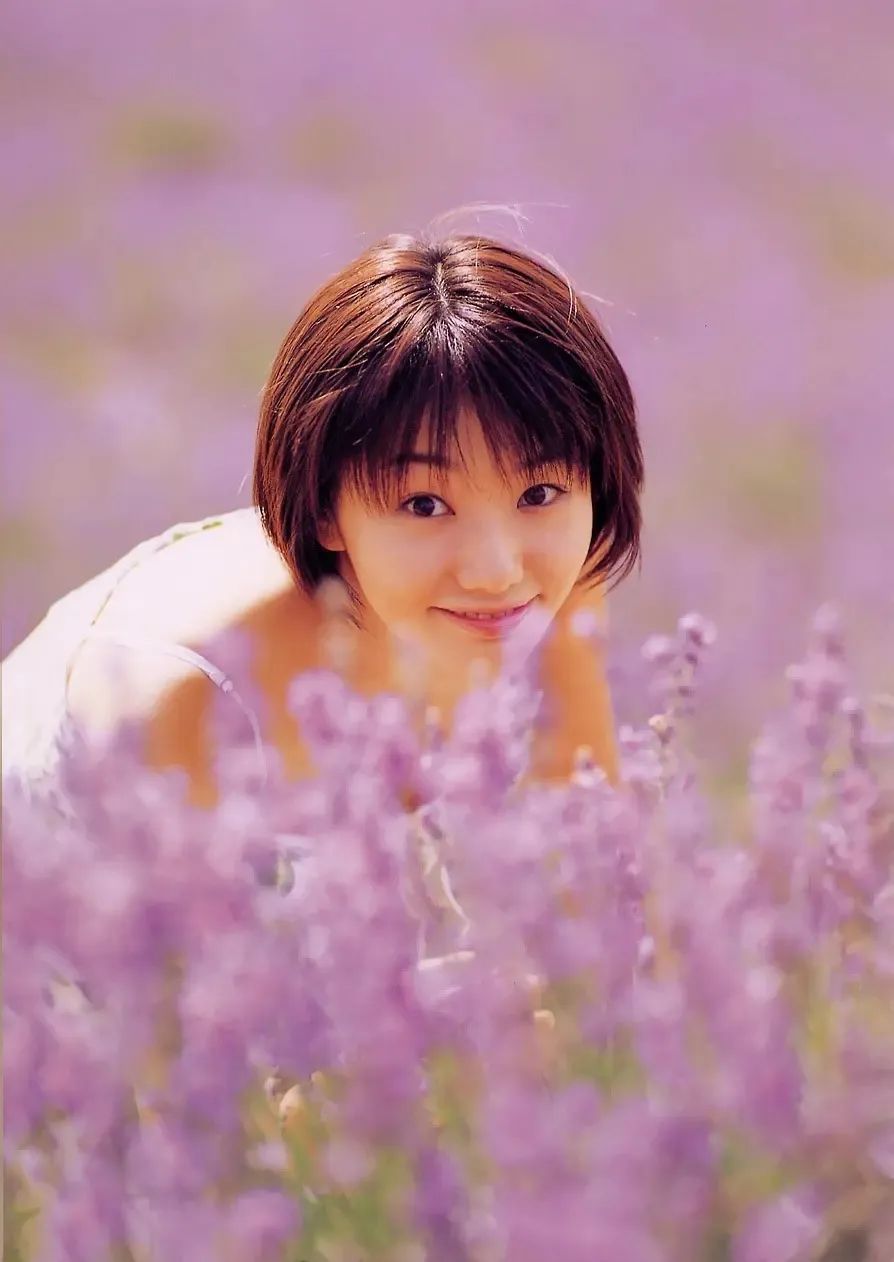 日本47个都道府县的魅力,日本47个都道府县的颜值