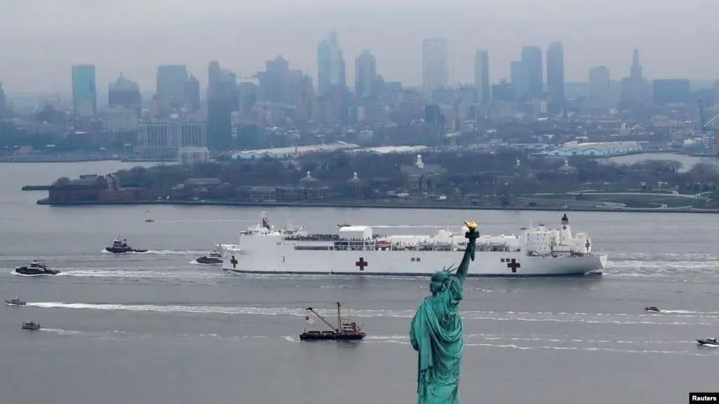 疫情下的美国日记丨陈丽华：加州四月槐花香