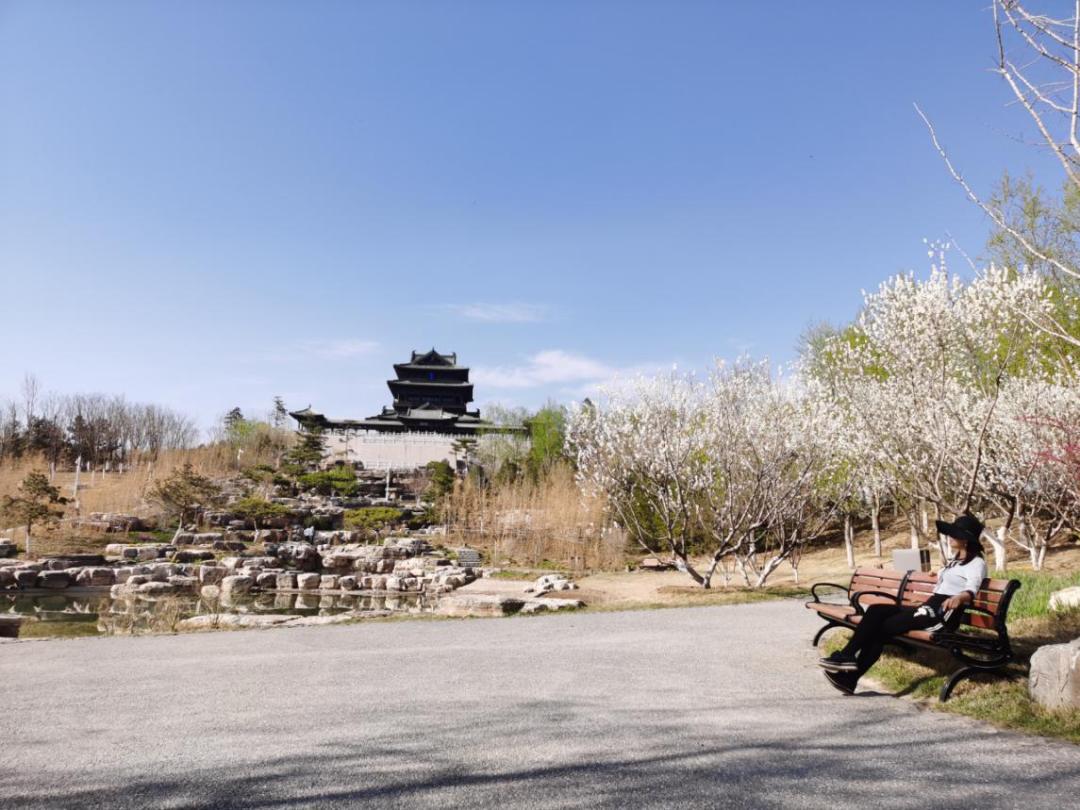 春天游世园地址,春天带你去游玩