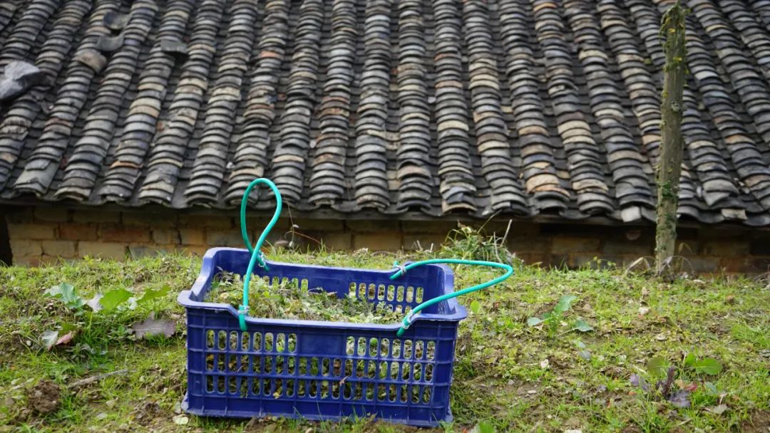 武汉在解封后第一顿热干面,武汉解封后的第一碗热干面