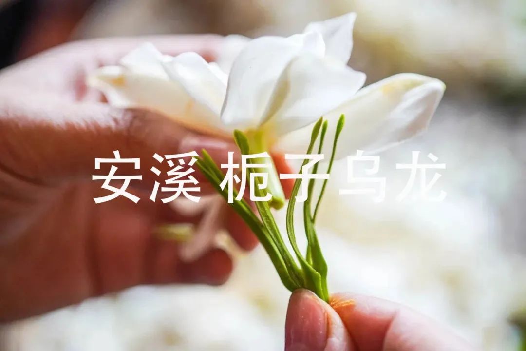电饭锅芝士蛋糕最简单的做法,教你做现在超火的芝士蛋糕