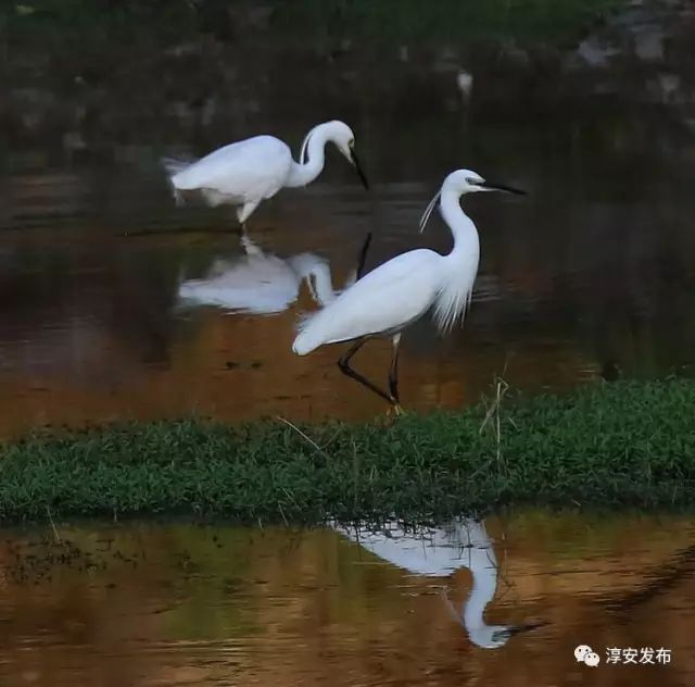 最惊艳的千岛湖,美丽壮观的千岛湖