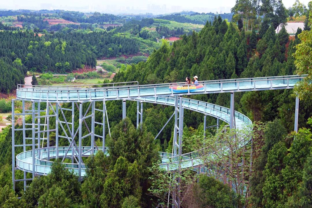 成都一日游打卡必备,成都网红打卡景点一日游