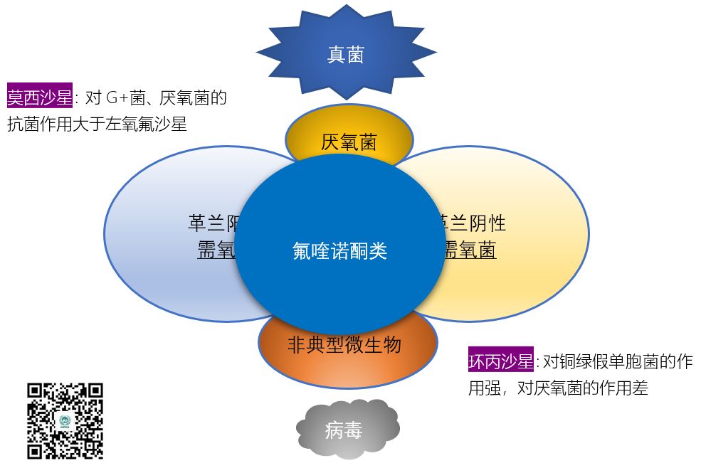 图说抗菌药物的抗菌谱，再也不会记不住了