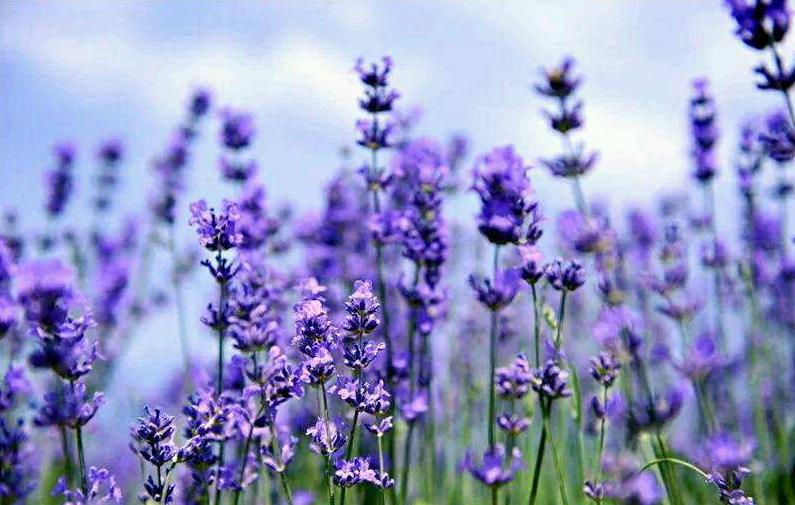 媲美真丝床品的品牌是什么,抑菌美肤床品四件套