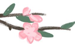 山东莱西复学复课时间,山东省学校复学复课的最新政策