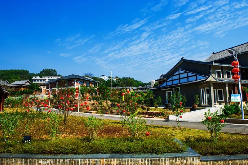 青秀区南阳镇古岳坡种植研学基地,南宁市青秀区南阳镇古岳坡