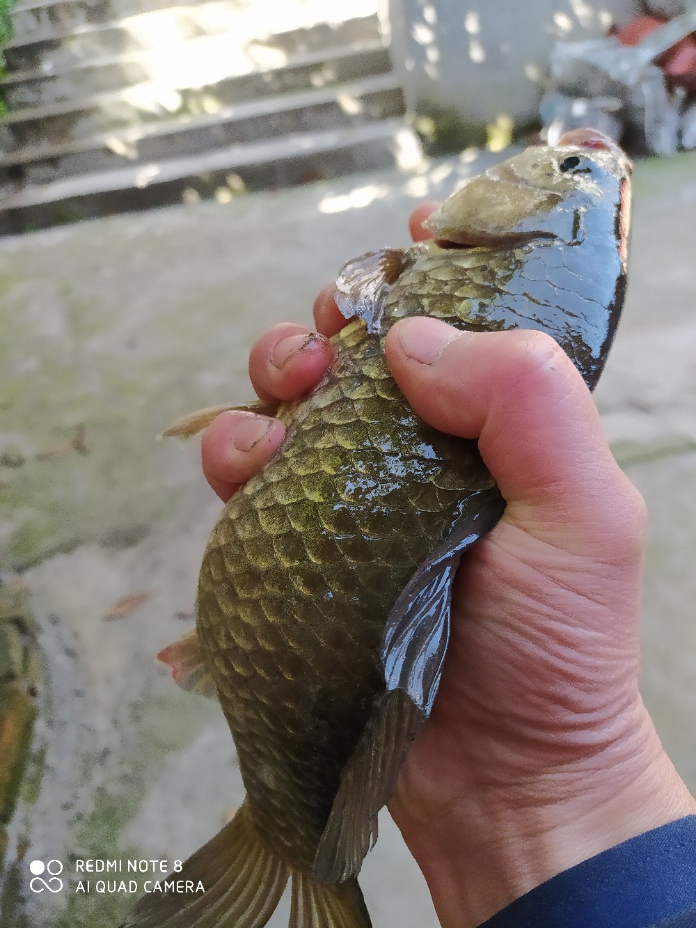 海竿串钩正确钓法视频,海竿串钩野钓最佳方法